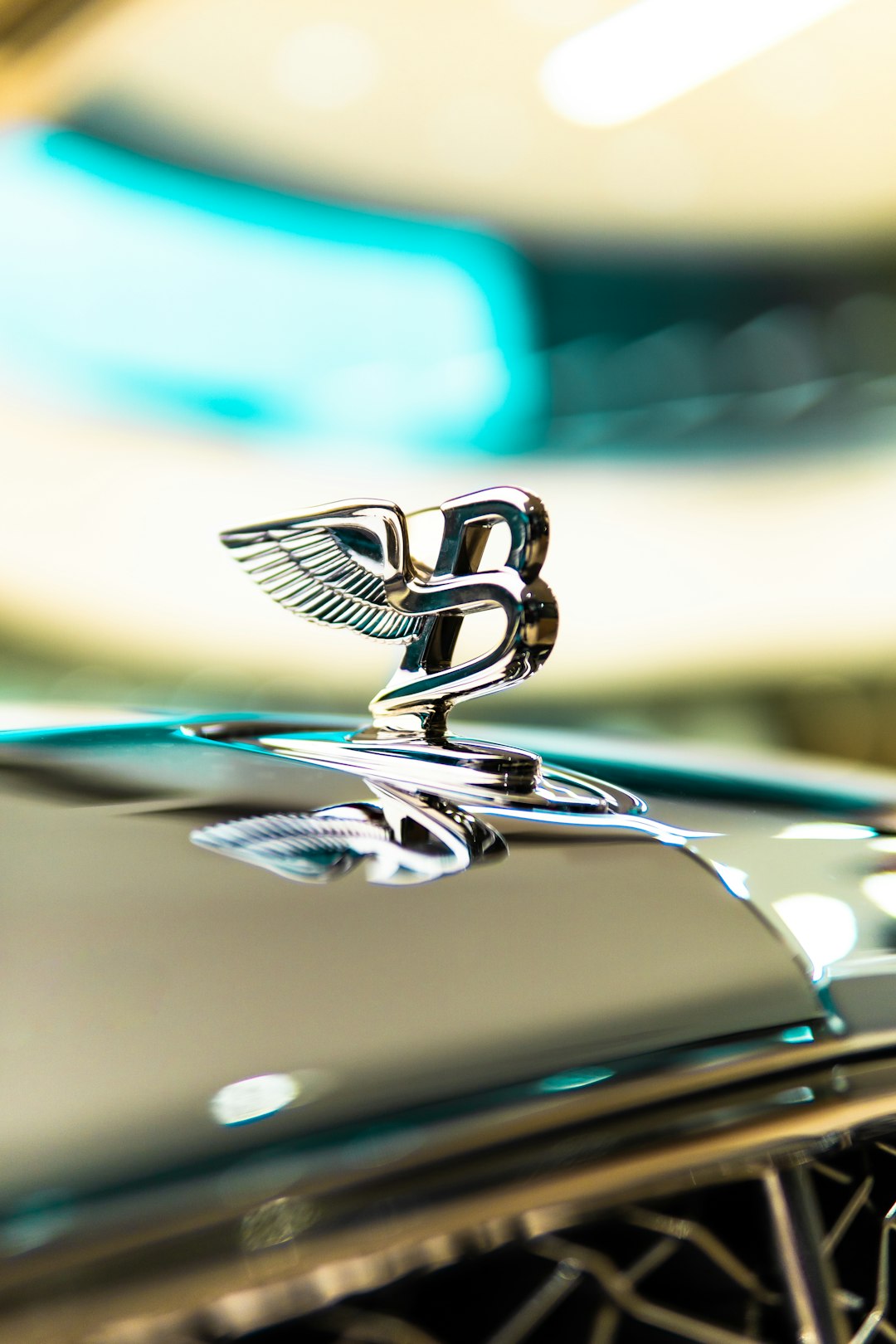 Celebrity car choices